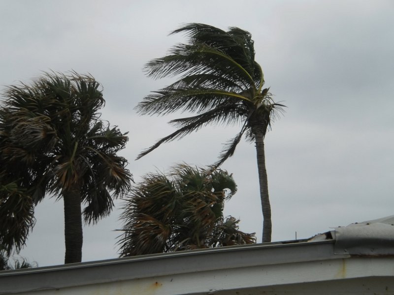 JTRG_Picnic_103011 (6).JPG - HURRICANE PARTY? NO... JUST A PICNIC AT JUPITER BEACH